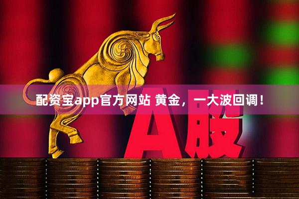 配资宝app官方网站 黄金，一大波回调！