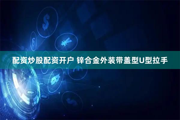 配资炒股配资开户 锌合金外装带盖型U型拉手